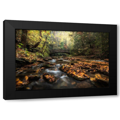 Stone Bridge Black Modern Wood Framed Art Print with Double Matting by Head, Danny