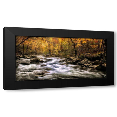 Autumn Bliss Black Modern Wood Framed Art Print by Head, Danny
