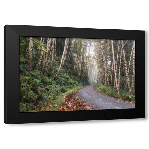 Mountain Drive Black Modern Wood Framed Art Print with Double Matting by Head, Danny