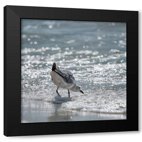Bottoms Up Black Modern Wood Framed Art Print with Double Matting by Head, Danny