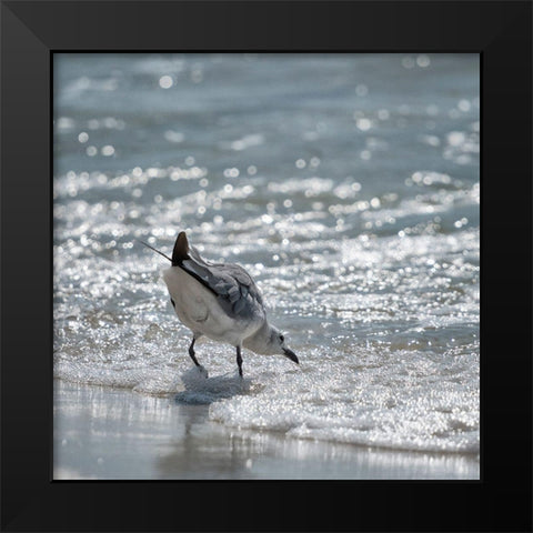 Bottoms Up Black Modern Wood Framed Art Print by Head, Danny