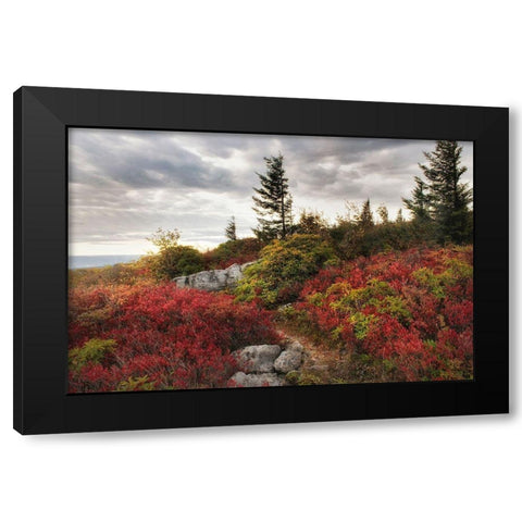Highland Trail Black Modern Wood Framed Art Print with Double Matting by Head, Danny