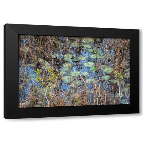 The Marsh Black Modern Wood Framed Art Print by Head, Danny