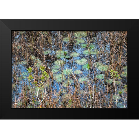 The Marsh Black Modern Wood Framed Art Print by Head, Danny