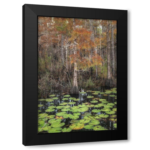 Black Water I Black Modern Wood Framed Art Print with Double Matting by Head, Danny