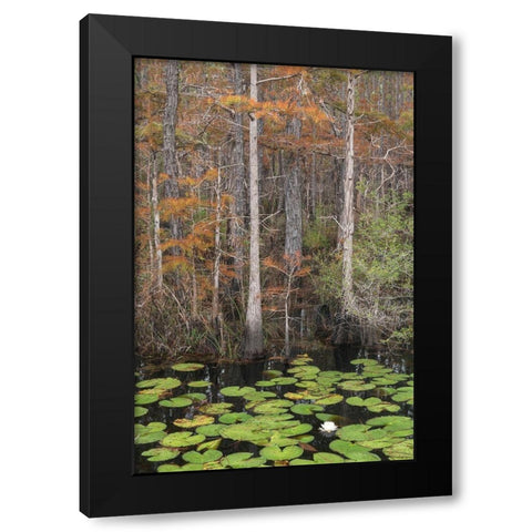 Black Water II Black Modern Wood Framed Art Print by Head, Danny