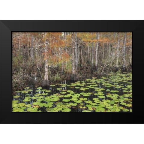 Bayou Autumn Black Modern Wood Framed Art Print by Head, Danny