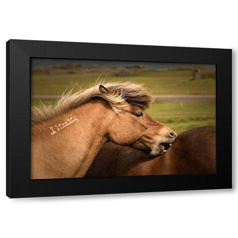 Rough Play Black Modern Wood Framed Art Print with Double Matting by Head, Danny