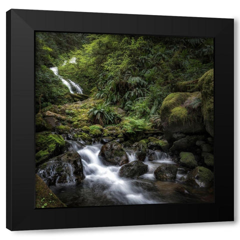 Oasis Black Modern Wood Framed Art Print with Double Matting by Head, Danny