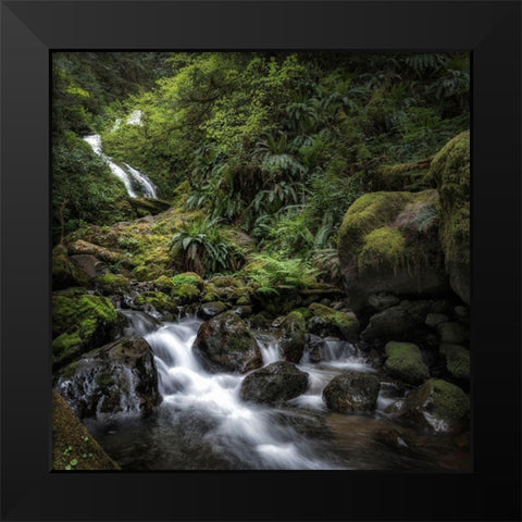 Oasis Black Modern Wood Framed Art Print by Head, Danny