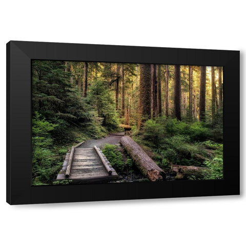 Morning Calls Black Modern Wood Framed Art Print by Head, Danny