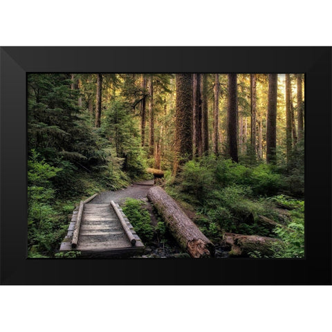 Morning Calls Black Modern Wood Framed Art Print by Head, Danny
