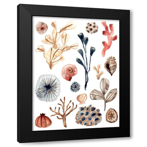 Ocean Assortment I Black Modern Wood Framed Art Print with Double Matting by Vess, June Erica