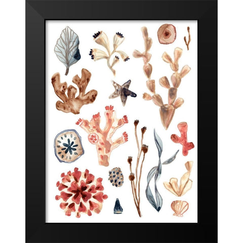Ocean Assortment II Black Modern Wood Framed Art Print by Vess, June Erica