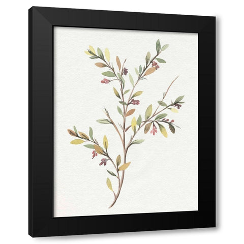 Single Sprig II Black Modern Wood Framed Art Print by Warren, Annie