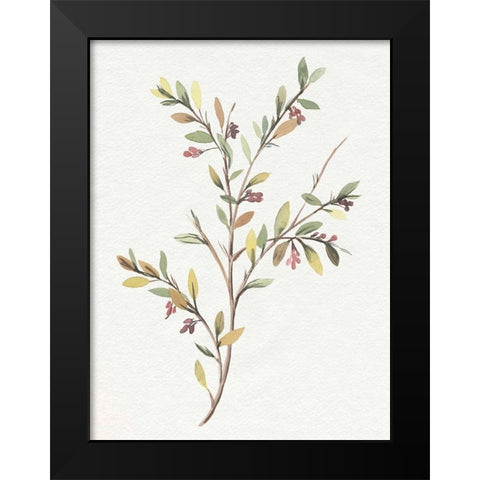 Single Sprig II Black Modern Wood Framed Art Print by Warren, Annie