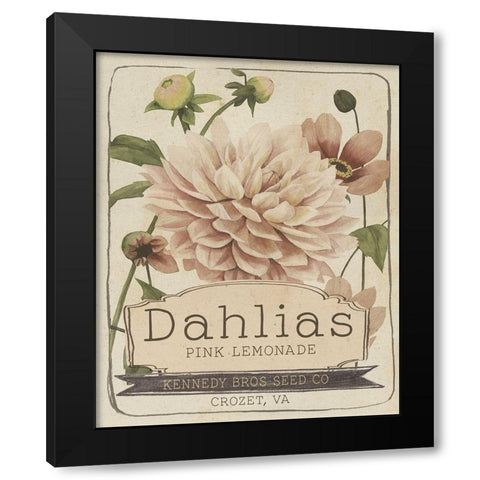 Vintage Seed Packets IV Black Modern Wood Framed Art Print with Double Matting by Studio W