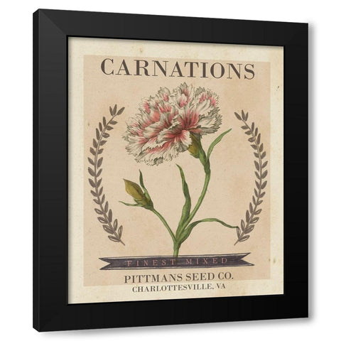 Vintage Seed Packets V Black Modern Wood Framed Art Print by Studio W