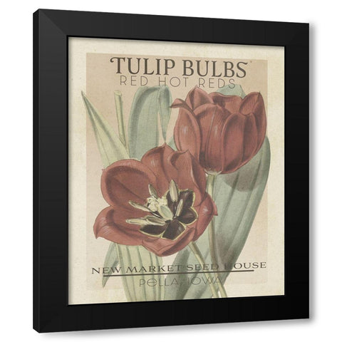 Vintage Seed Packets VI Black Modern Wood Framed Art Print by Studio W