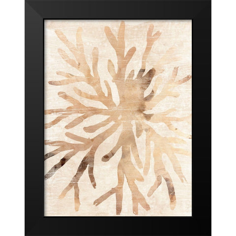 Parchment Coral II Black Modern Wood Framed Art Print by Vess, June Erica