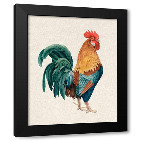 Watercolor Rooster I Black Modern Wood Framed Art Print by Popp, Grace