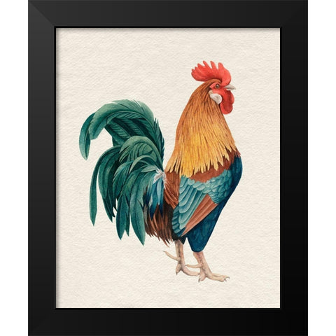 Watercolor Rooster I Black Modern Wood Framed Art Print by Popp, Grace