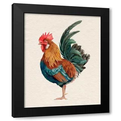 Watercolor Rooster II Black Modern Wood Framed Art Print by Popp, Grace