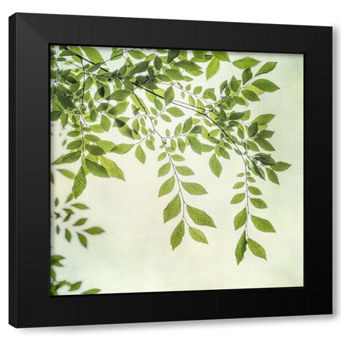 Summer Light I Black Modern Wood Framed Art Print with Double Matting by Poinski, Dianne