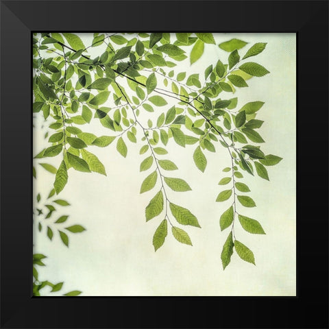 Summer Light I Black Modern Wood Framed Art Print by Poinski, Dianne