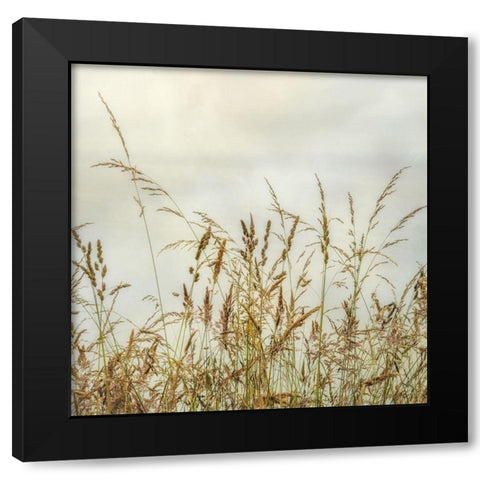 Bluff Grass I Black Modern Wood Framed Art Print by Poinski, Dianne