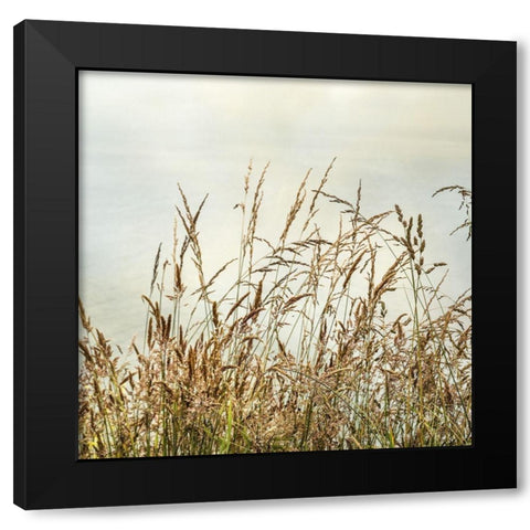 Bluff Grass II Black Modern Wood Framed Art Print with Double Matting by Poinski, Dianne