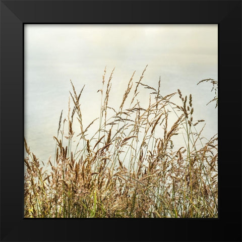 Bluff Grass II Black Modern Wood Framed Art Print by Poinski, Dianne