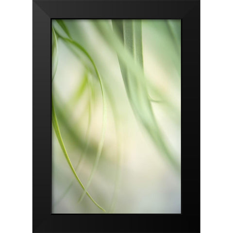 Harmonic I Black Modern Wood Framed Art Print by Poinski, Dianne