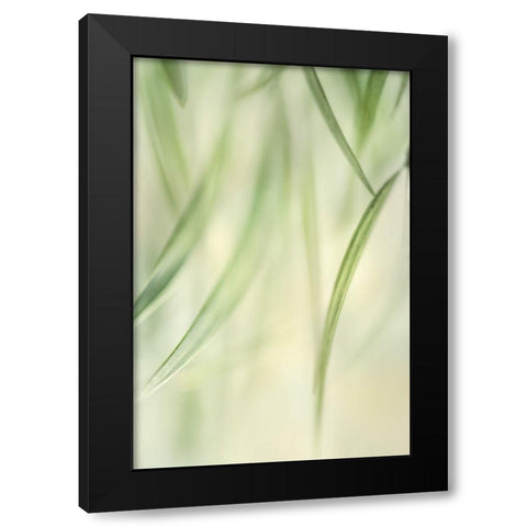 Harmonic II Black Modern Wood Framed Art Print by Poinski, Dianne