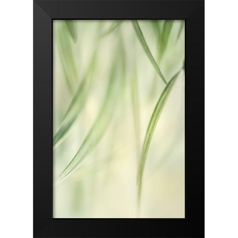 Harmonic II Black Modern Wood Framed Art Print by Poinski, Dianne