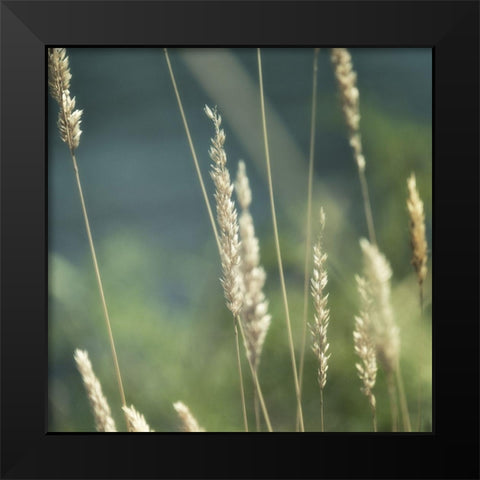 Northwest Morning II Black Modern Wood Framed Art Print by Poinski, Dianne