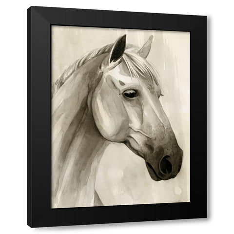 Freckled Pony II Black Modern Wood Framed Art Print with Double Matting by Popp, Grace