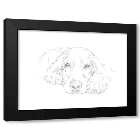 Lazy Dog II Black Modern Wood Framed Art Print with Double Matting by Harper, Ethan