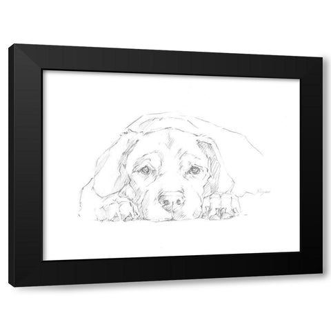 Lazy Dog III Black Modern Wood Framed Art Print with Double Matting by Harper, Ethan