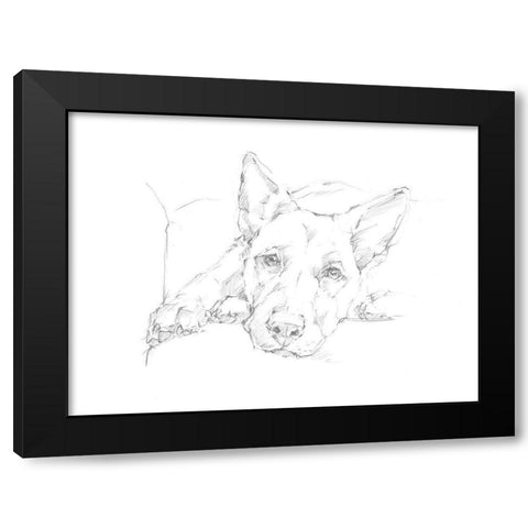 Lazy Dog IV Black Modern Wood Framed Art Print with Double Matting by Harper, Ethan