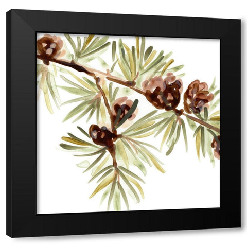 Simple Pine Cone III Black Modern Wood Framed Art Print with Double Matting by Vess, June Erica