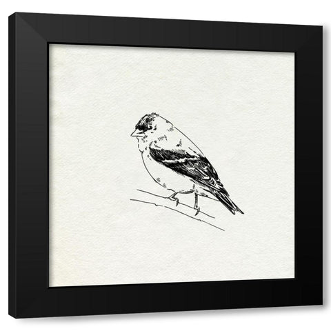 Bird Feeder Friends I Black Modern Wood Framed Art Print by Caroline, Emma