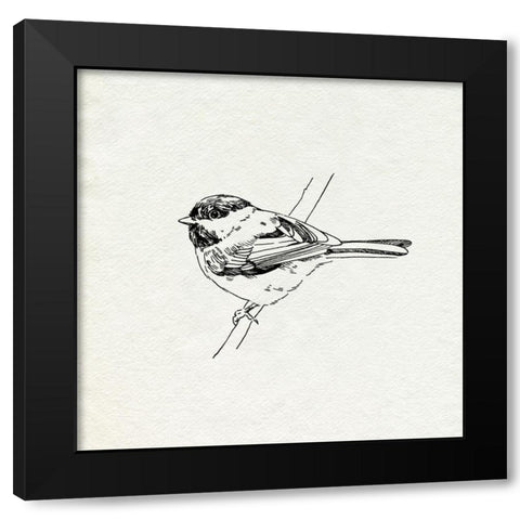 Bird Feeder Friends II Black Modern Wood Framed Art Print with Double Matting by Caroline, Emma