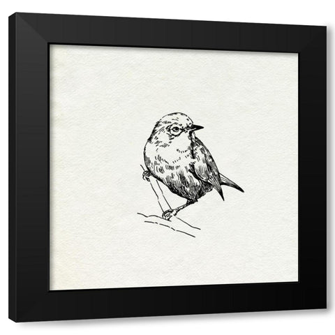 Bird Feeder Friends III Black Modern Wood Framed Art Print by Caroline, Emma