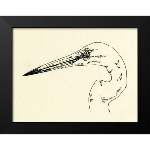 Heron Head II Black Modern Wood Framed Art Print by Caroline, Emma