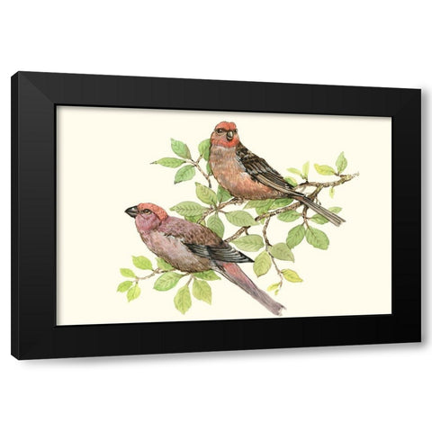 Song Birds II Black Modern Wood Framed Art Print with Double Matting by OToole, Tim