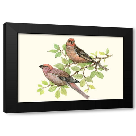 Song Birds II Black Modern Wood Framed Art Print by OToole, Tim