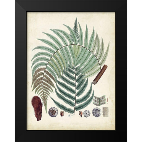 Collected Ferns I Black Modern Wood Framed Art Print by Unknown