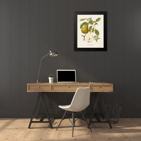 Vintage Pears II Black Modern Wood Framed Art Print by de Langlois