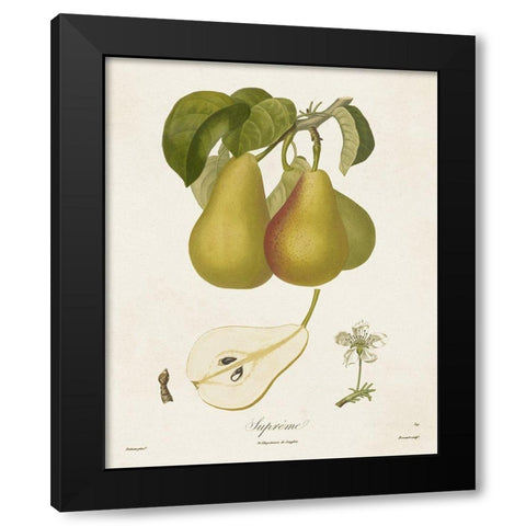 Vintage Pears V Black Modern Wood Framed Art Print by de Langlois